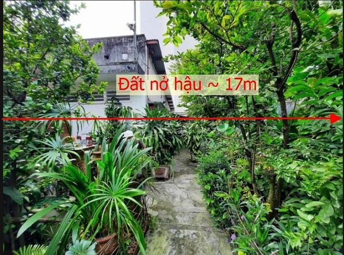 212m2/14 tỷ, Đc:104/8 Nguyễn Thái Sơn. P.03, Nhà vườn >< BV.175.