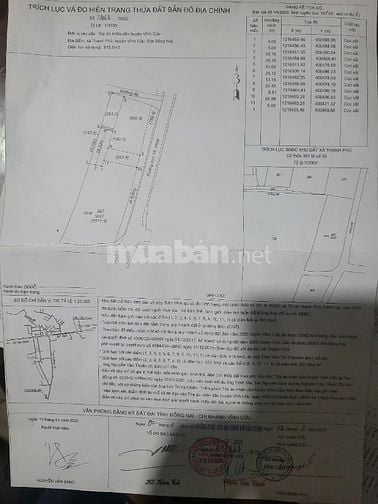 Bán 890m2 Đất Mặt Tiền Đường Nhựa Trục 16 Vĩnh Cửu Đồng Nai Giá 8 Tỷ 5