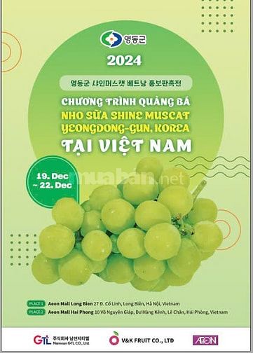 CHƯƠNG TRÌNH QUẢNG BÁ NHO SỮA  SHINE MUSCAT YEONGDONG-GUN, KOREA  