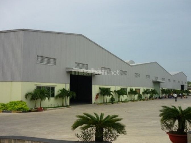 Kho xưởng cho thuê Bình Chánh , DT: 20.000m2 giá 950tr/th