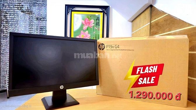 Sale với giá cực sốc Màn hình máy tính HP P19v G4 18.5 inch