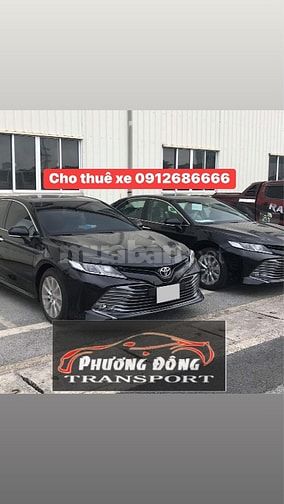 Cho thuê xe tự lái Tết từ cơ bản đến cao cấp 