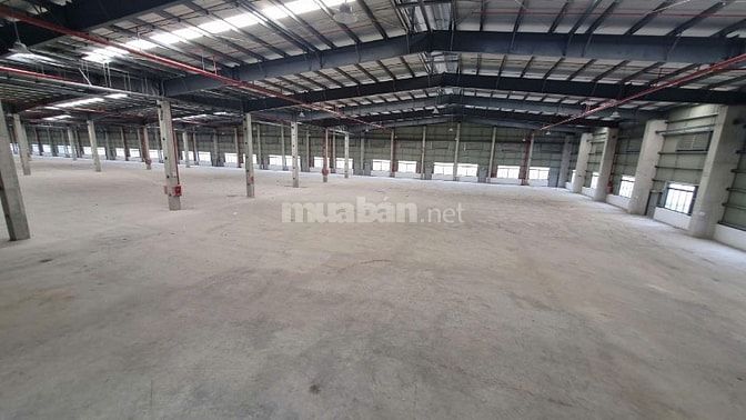 Cho thuê kho xưởng mới đẹp - KCN Tân An,Long An, X : 4.000m2 - 7.000m2