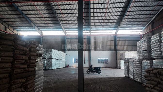 Cho thuê kho xưởng tại Tân An, KV: 30.000m2 , xưởng: 5000m2 , 8000m2