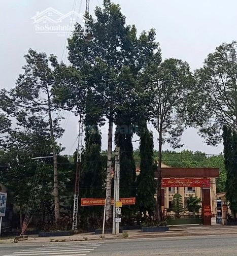 Bán Nhà Riêng Sát Nhà 462 Đt 741, Xã An Bình, Phú Giáo, Bình Dương Nha