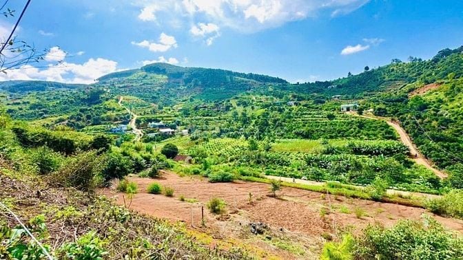 Đất nghỉ dưỡng thị trấn Nam Ban view đồi thông cách ĐT 725 1km