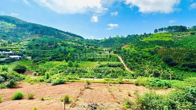 Đất nghỉ dưỡng thị trấn Nam Ban view đồi thông cách ĐT 725 1km