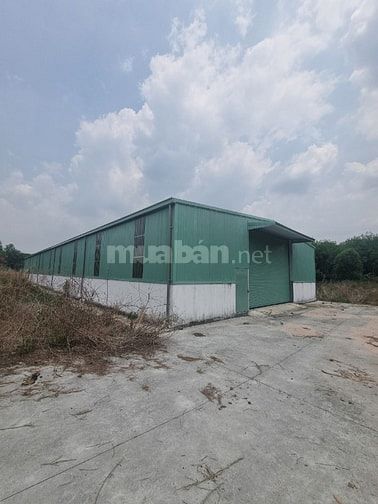 Giá ngộp bán gấp nhà xưởng đường container, đất đóng thuế 1 lần 