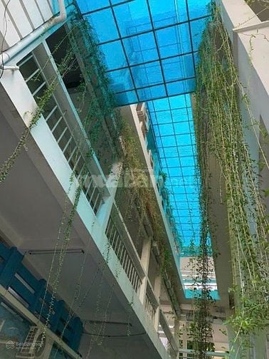 Trường học 1.600m2 - Số 185-187 Hoàng Văn Thụ - bãi xe 24/24 - 4 tầng