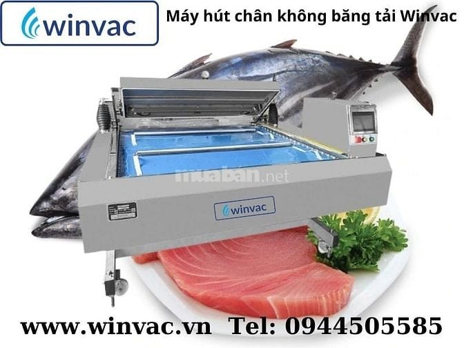 Máy hút chân không băng tải Winvac