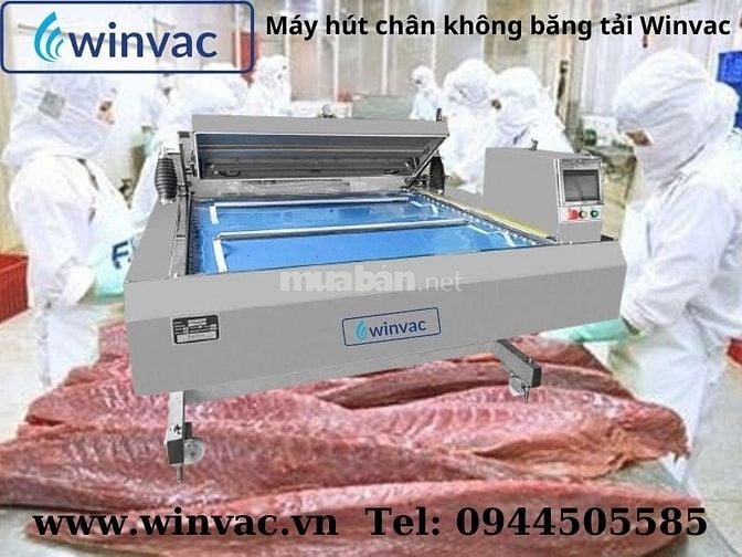 Máy hút chân không băng tải Winvac