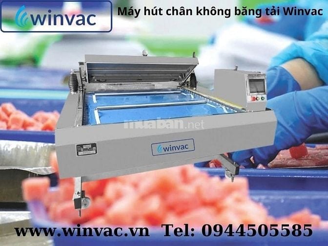 Máy hút chân không băng tải Winvac