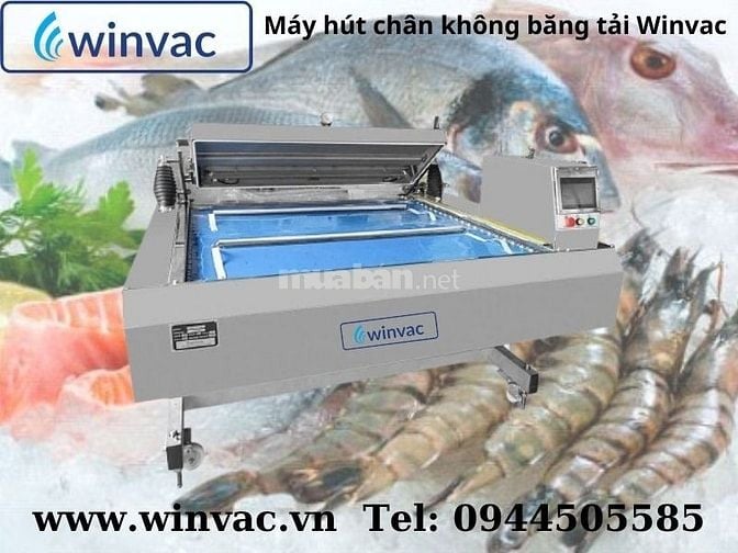 Máy hút chân không băng tải Winvac