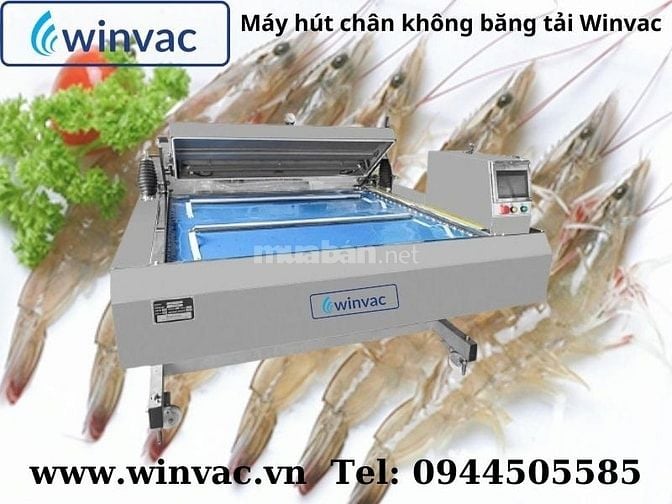 Máy hút chân không băng tải Winvac