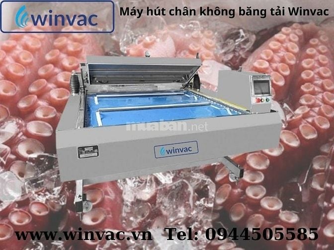 Máy hút chân không băng tải Winvac