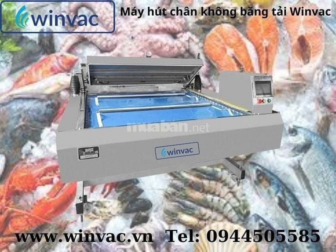 Máy hút chân không băng tải Winvac