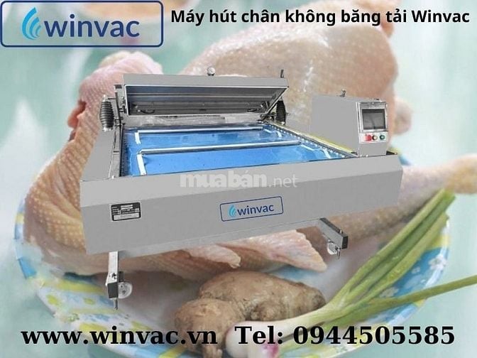 Máy hút chân không băng tải Winvac