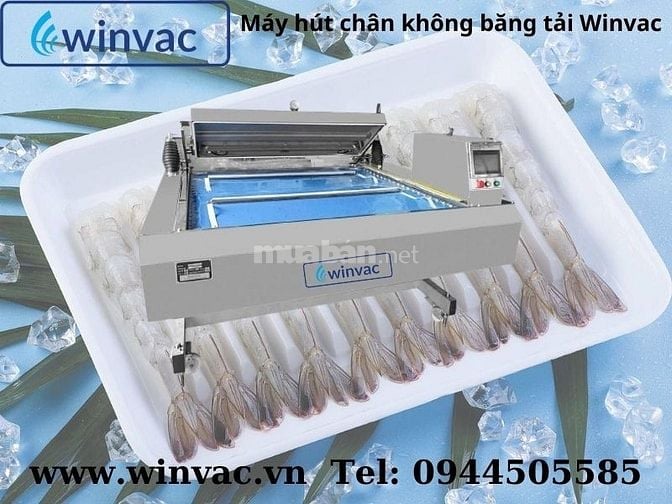 Máy hút chân không băng tải Winvac