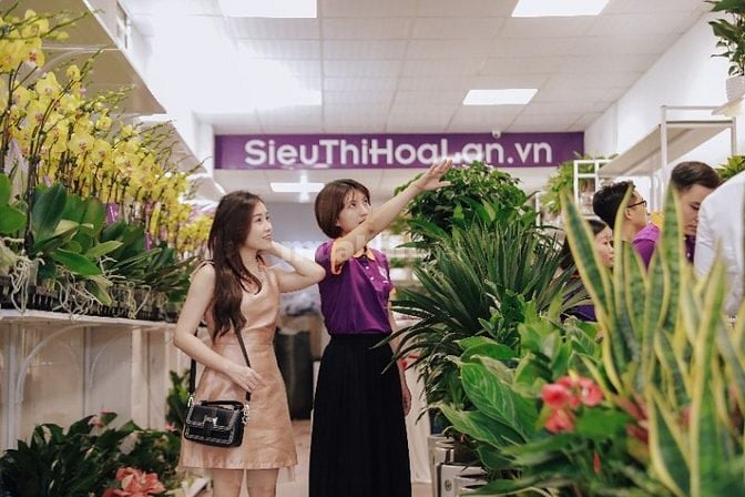 NV Bán hàng Thời Vụ Tết Shop Hoa Lan Cây cảnh cầu Giấy lương cao