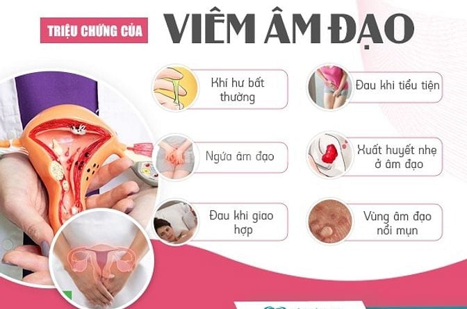 👉 Hulbo Hevi - Giải pháp toàn diện chăm sóc sức khỏe vùng kín 