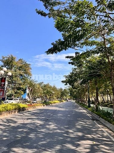 Biệt thự Ciputra, Mặt Đường Đôi, 230m2 Ô Chờ Thang Máy, Giá 62 tỷ 