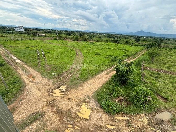 Bán lô đất tại thôn Dân Thuận, xã Hàm Thạnh, Huyện Hàm Thuận Nam