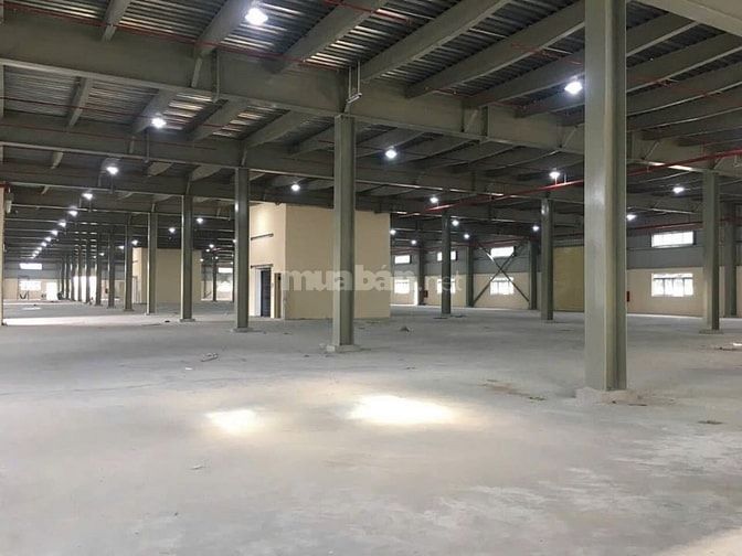 Cho thuê kho xưởng mới xây - Bến Lức,Long An,KV: 8.000m2,xưởng:7.200m2