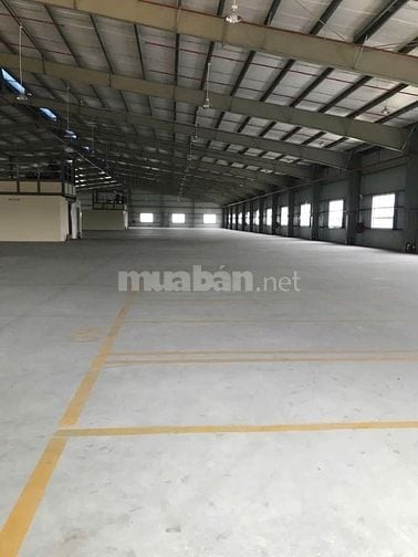 Cho thuê kho xưởng mới xây - Bến Lức,Long An,KV: 8.000m2,xưởng:7.200m2