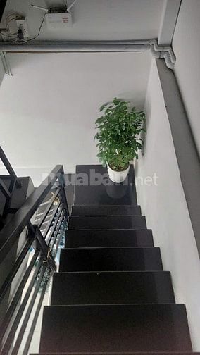 Cho thuê nhà MT Trần Khắc Chân P.15 Q.Phú Nhuận giá 12 triệu 30m².