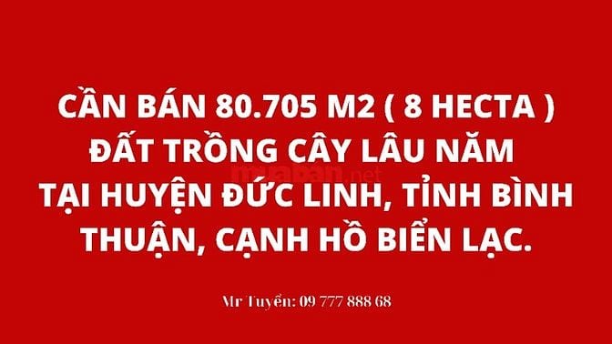 Cần bán 80.705 m2 (8 hecta) đất trồng cây lâu năm, tại huyện Đức Linh