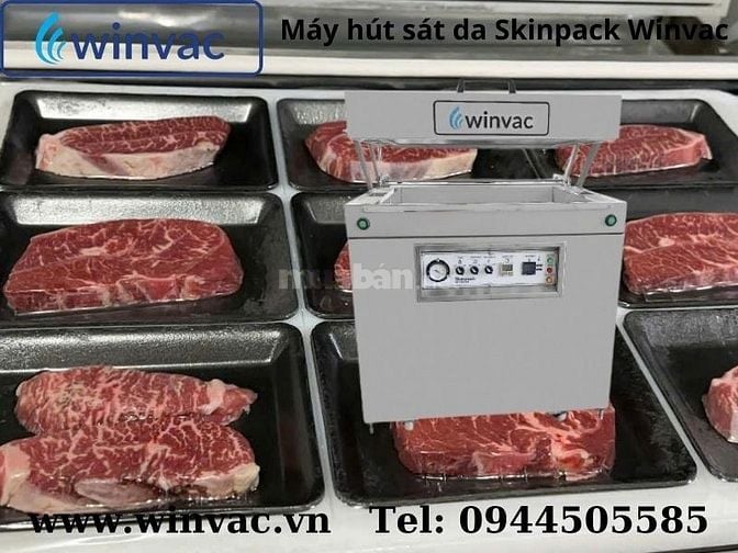 Máy hút sát da skinpack Winvac