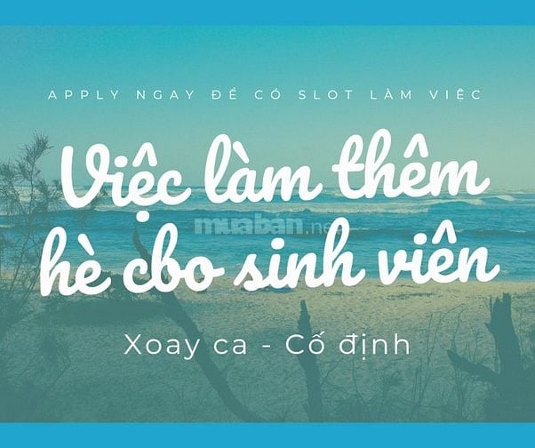 🎀 Việc làm cận Tết - Tuyển 04 nhân viên nam bán hàng tại Shop quận 12