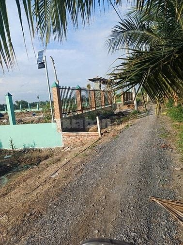 Bán đất Nông nghiệp 4200m2 đường Trương Văn Đa, Xã Bình Lợi, Bình Chán