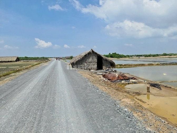 Bán đất tại Xã Lý Nhơn, Cần Giờ, Hồ Chí Minh diện tích 19159m2 giá 24 