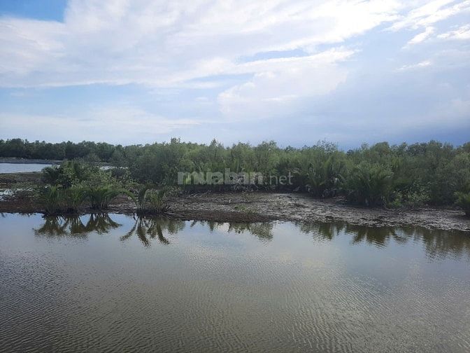 Bán đất tại Xã Lý Nhơn, Cần Giờ, Hồ Chí Minh diện tích 19159m2 giá 24 