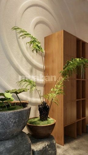 SPA KANON  CẦN TUYỂN NHÂN VIÊN LÀM XUYÊN TẾT. CHIA TIỀN 50% TRONG NGÀY