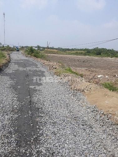 Bán 2750m2 đất MT Tân Thanh - Rạch Găng, Phước Lại, Cần Giuộc, Long An