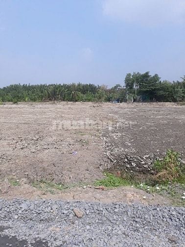 Bán 2750m2 đất MT Tân Thanh - Rạch Găng, Phước Lại, Cần Giuộc, Long An