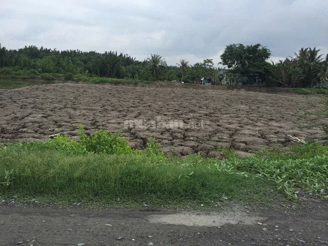 Bán 2750m2 đất MT Tân Thanh - Rạch Găng, Phước Lại, Cần Giuộc, Long An