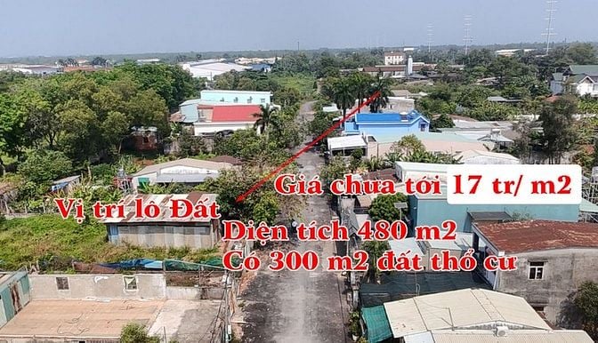 Bán đất mặt tiền Xuân Thới Sơn 11, xã Xuân Thới Sơn, huyện Hóc Môn