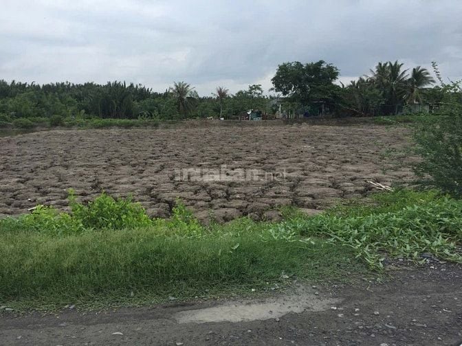 Bán 4254m2 đất MT Tân Thanh - Rạch Găng Phước Lại, Cần Giuộc, Long An