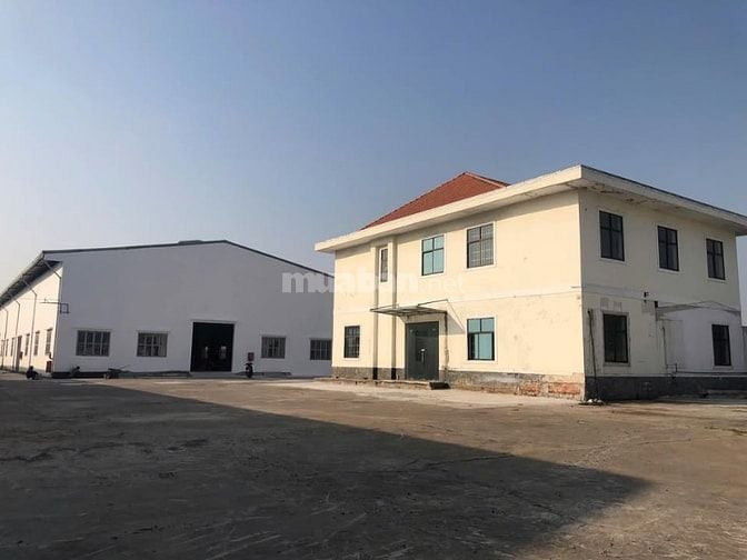 Cho thuê kho xưởng TT Tân Túc, Bình Chánh,tdt: 6.000m2, xưởng: 3.500m2