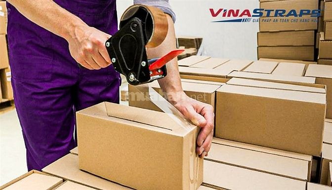 Cần Tuyển Nhân Viên Phụ Đóng Hàng và Giao Hàng KV Bình Tân 