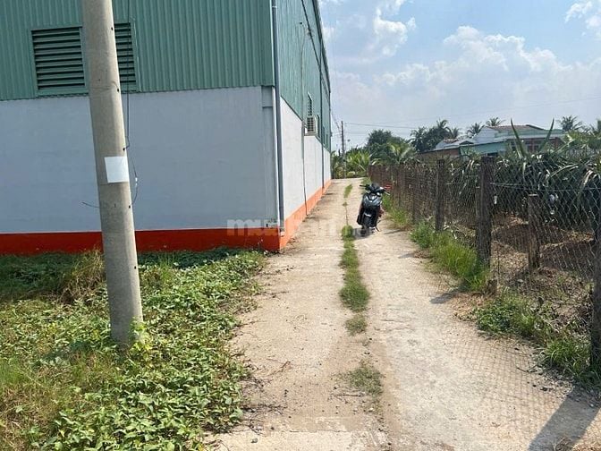 Bán lô đất ăn Tết ở xã Hiệp Thạnh, huyện Châu Thành, Long An, 9x22m