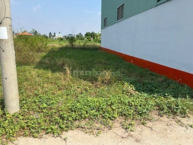 Bán lô đất ăn Tết ở xã Hiệp Thạnh, huyện Châu Thành, Long An, 9x22m