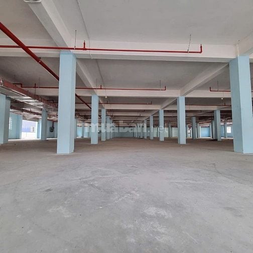 Cho thuê kho xưởng KCN Tân Tạo, Bình Tân, đất : 5.500m2, XD : 8.000m2