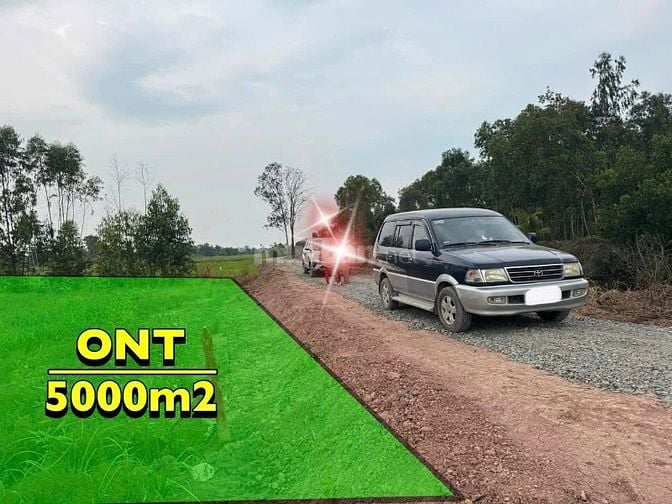 Bán 5000m2 Thổ Cư, Sổ Hồng Riêng Giá 14 tỷ