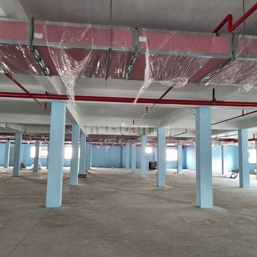 Cho thuê kho xưởng KCN Tân Tạo, Bình Tân, đất : 5.500m2, XD : 8.000m2