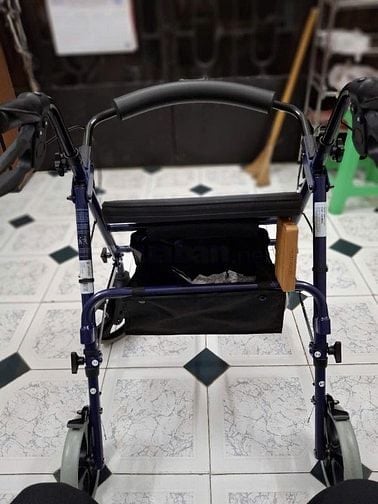 Xe tập đi Rollator Wagner - Đỏ