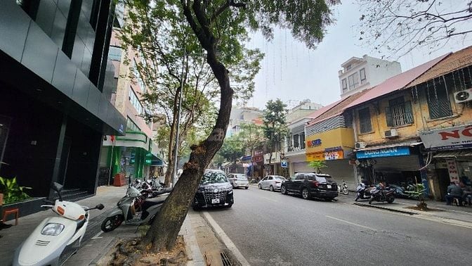 Nhà MP Phan Chu Trinh, Hoàn Kiếm . 165m2, lô góc, MT 16m, nhỉnh 150 tỷ